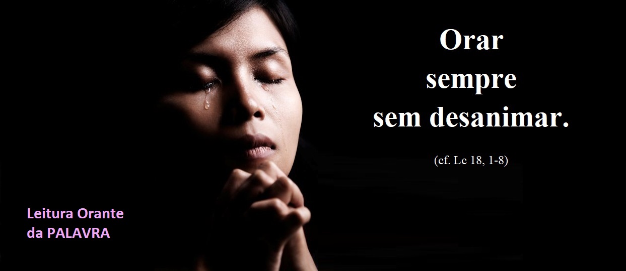 29 COMUM C